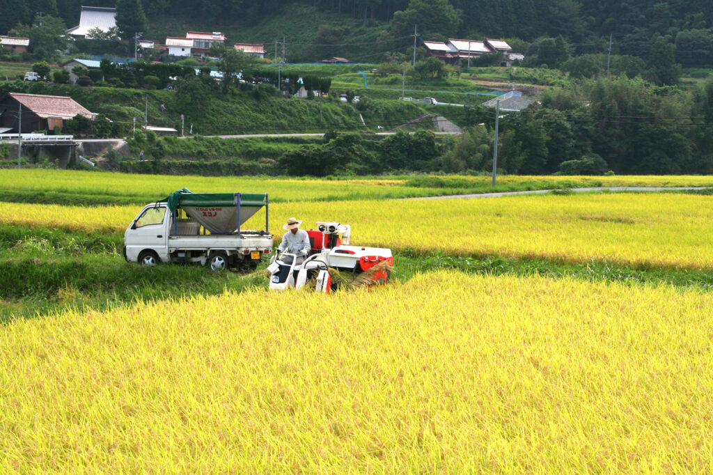 邑南町秋の風景