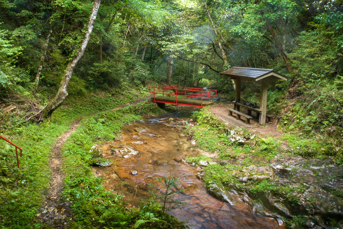 写真:赤馬滝