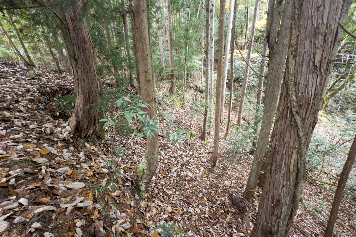 写真:琵琶甲城跡