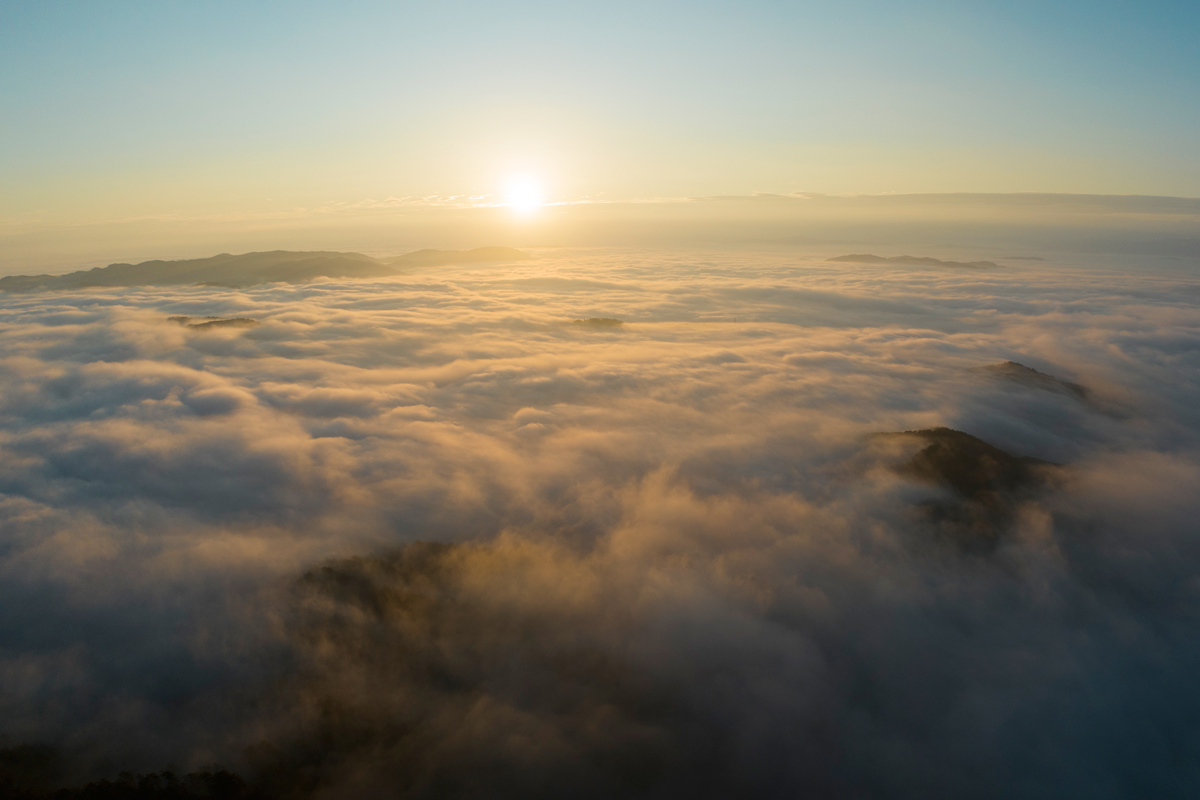 写真:伴蔵山自然回帰高原の雲海