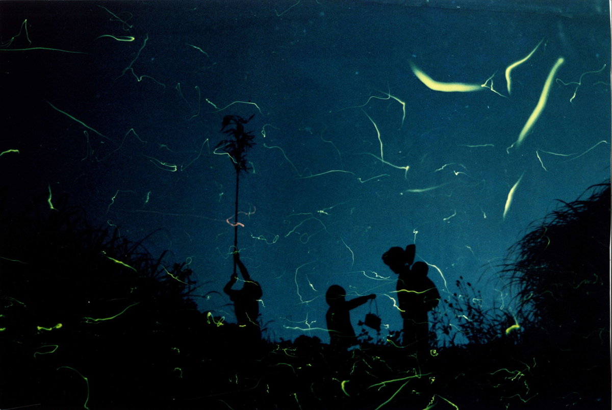 ほたる祭り | 邑南町観光協会-島根県邑南町（しまねけんおおなんちょう）-