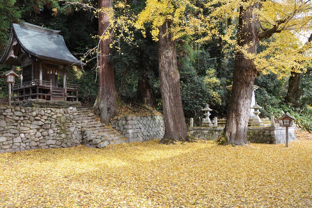 賀茂神社