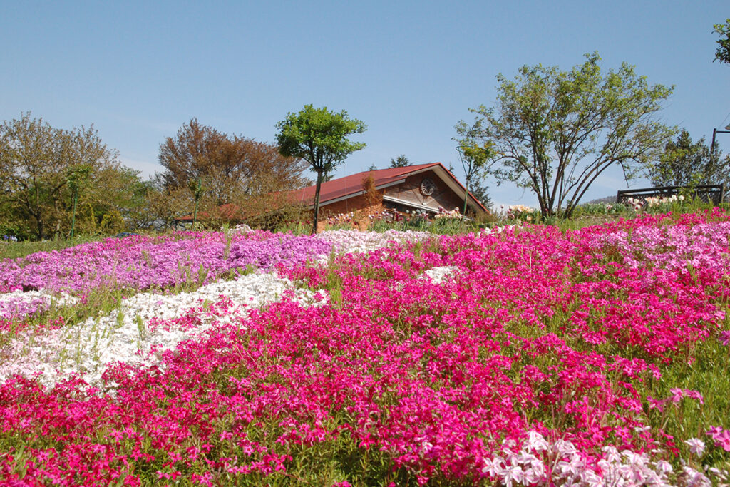 香木の森