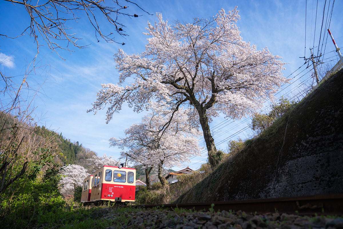 写真:三江線鉄道公園　口羽駅公園