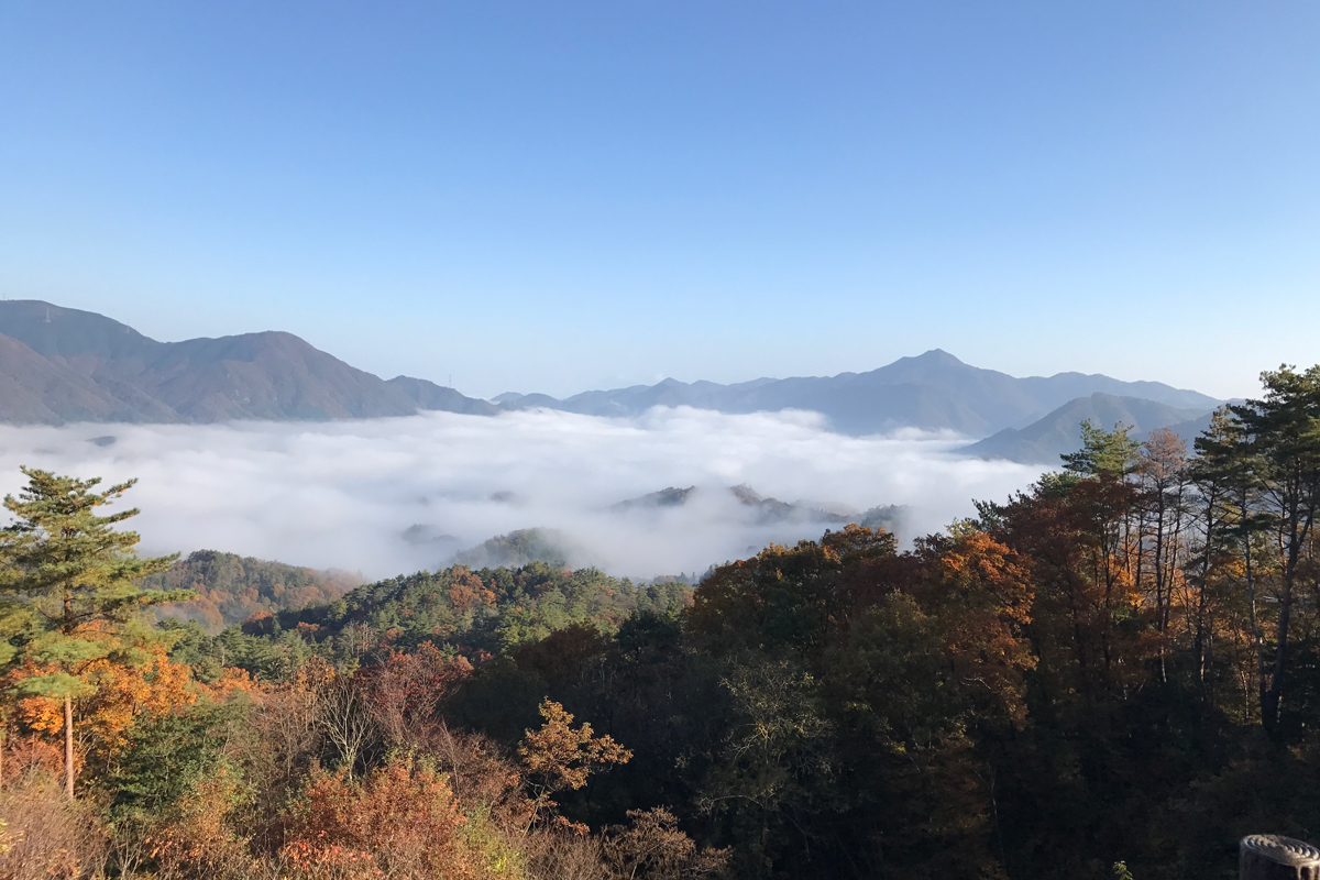 写真:於保知盆地から見える雲海