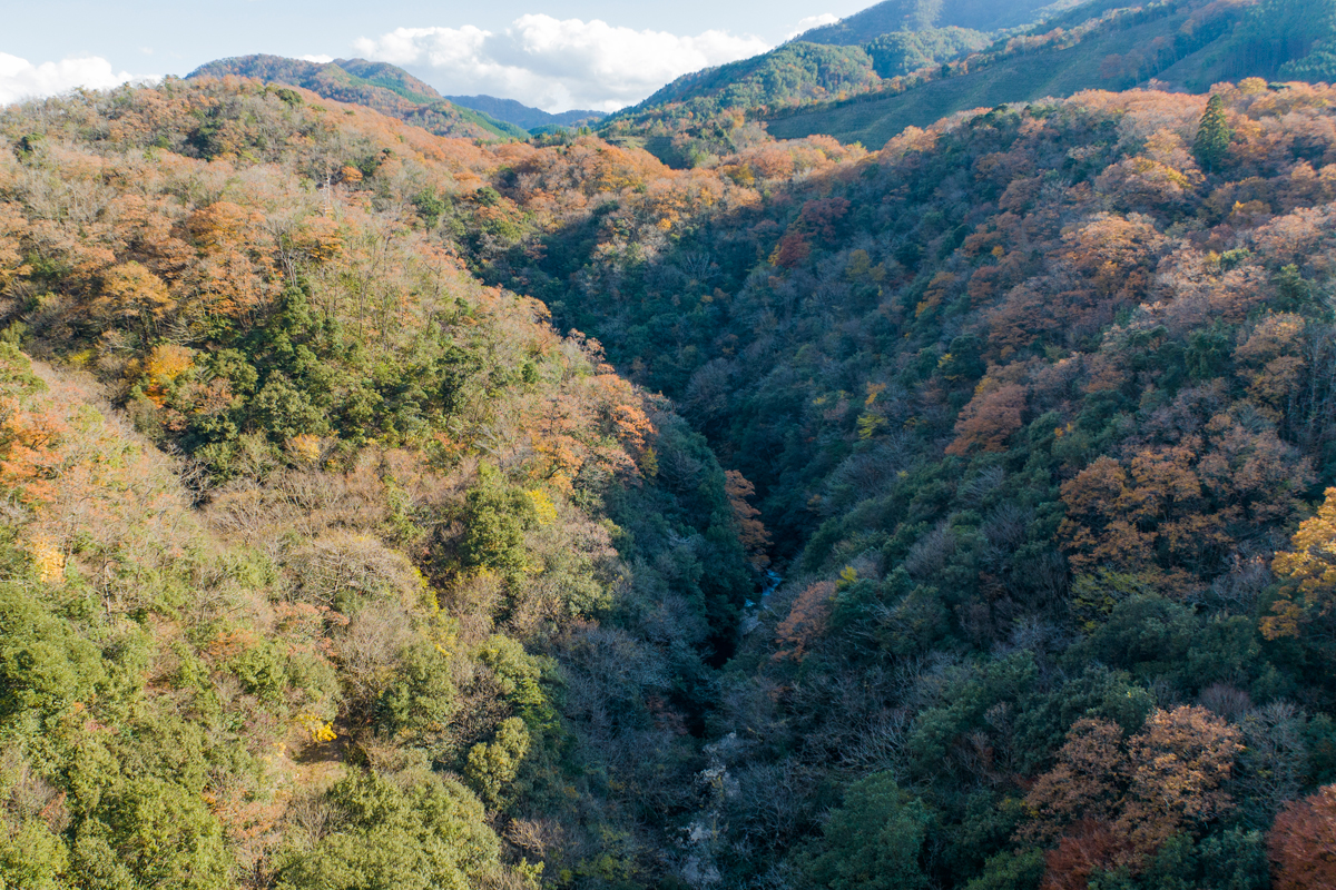 写真:千丈渓