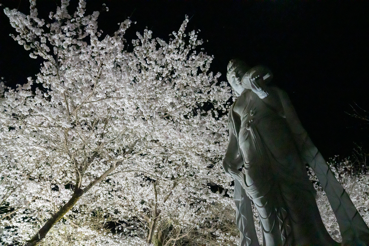 写真:宗林寺の仏像