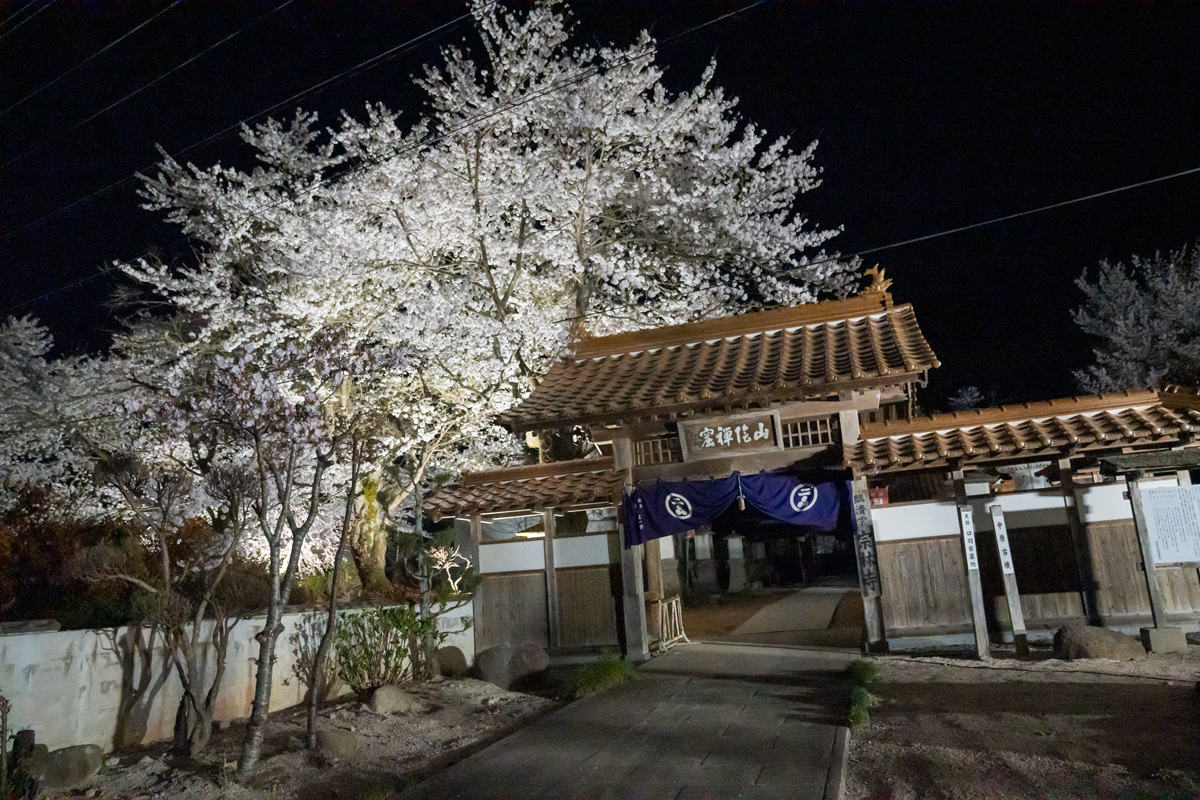 写真:宗林寺