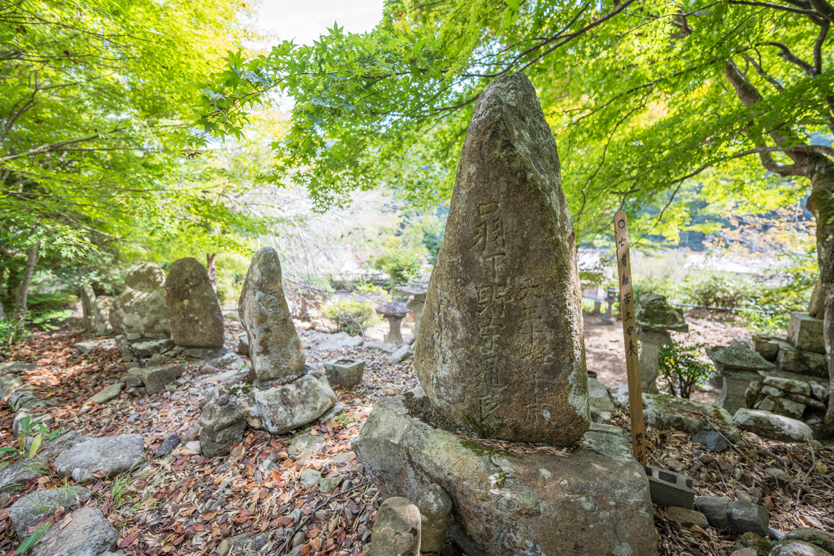 写真:宗林寺の墓