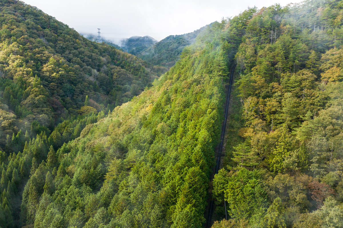 写真:龍岩神社の参道空撮