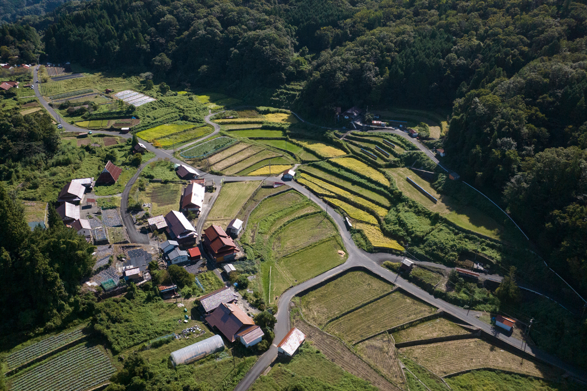 写真:上田・平佐の棚田近景