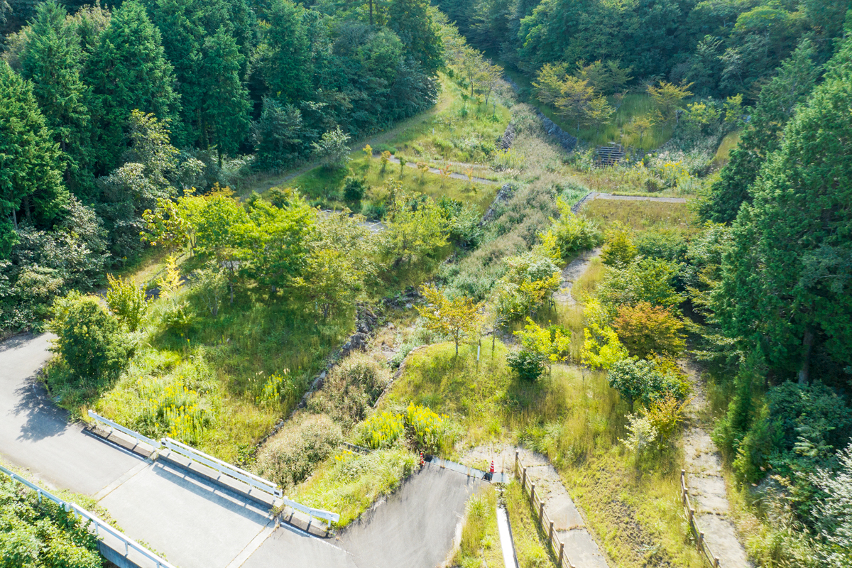 写真:薬草・薬木公園